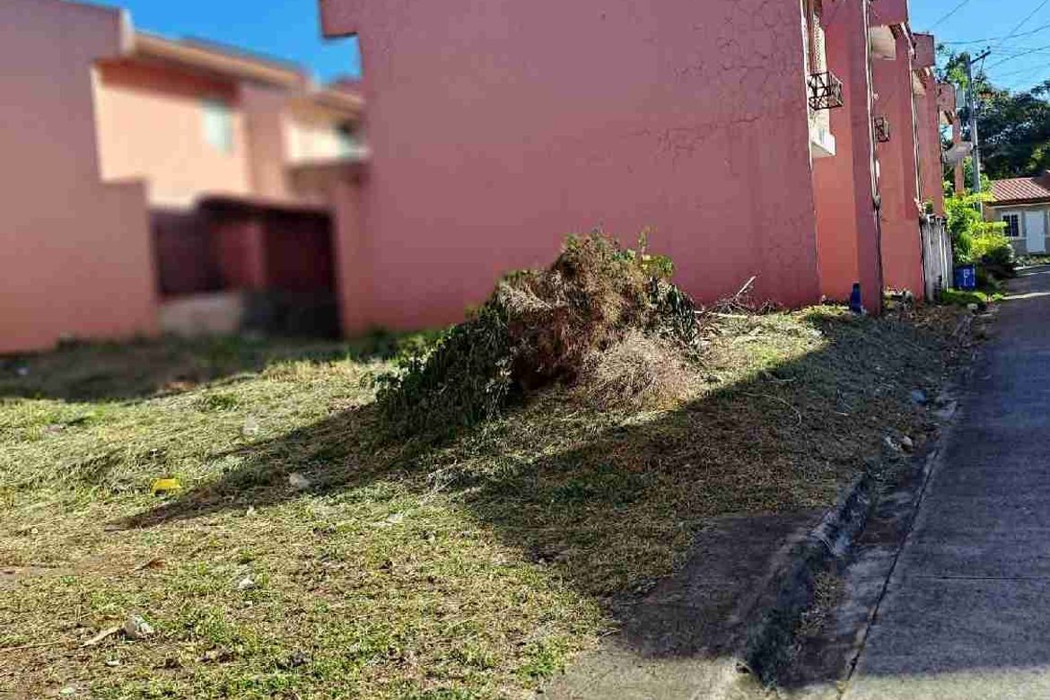 Land for Sale in Santo Niño, Davao City, Davao del Sur – photo 2