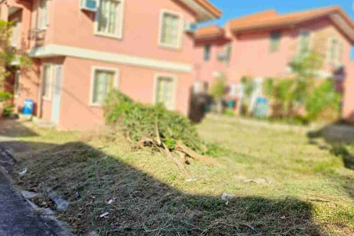 Land for Sale in Santo Niño, Davao City, Davao del Sur – photo 3