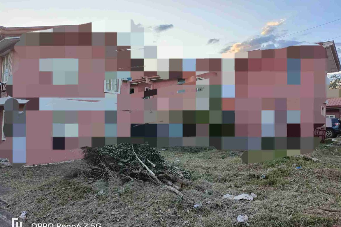Land for Sale in Santo Niño, Davao City, Davao del Sur – photo 4