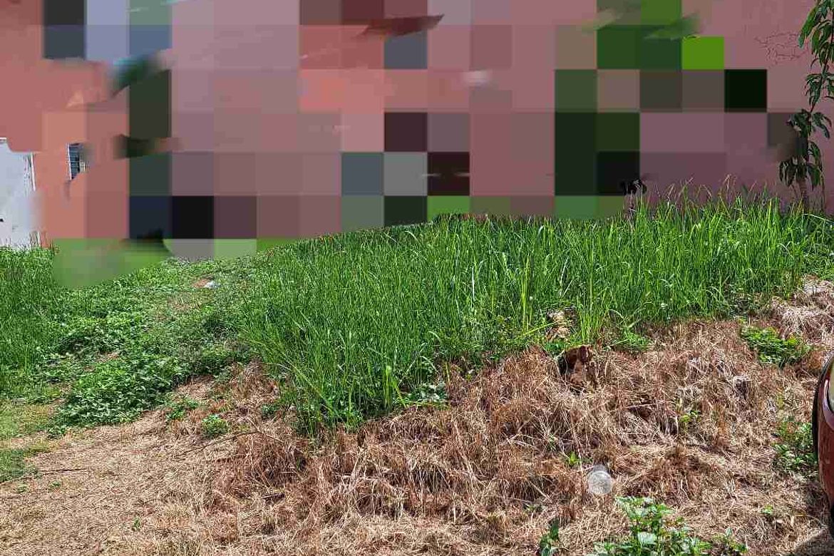 Land for Sale in Santo Niño, Davao City, Davao del Sur – photo 6