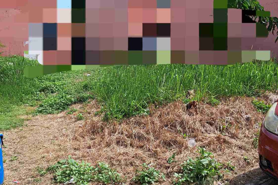 Land for Sale in Santo Niño, Davao City, Davao del Sur – photo 7
