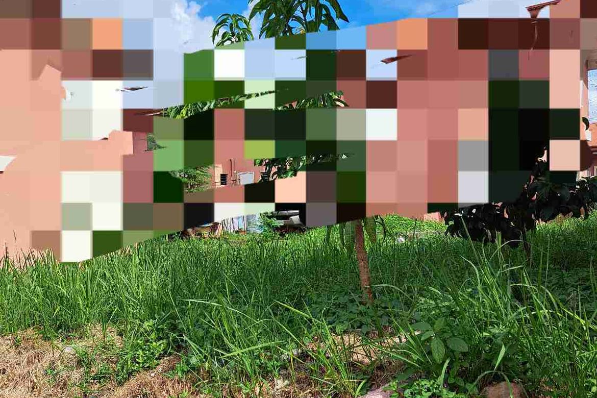 Land for Sale in Santo Niño, Davao City, Davao del Sur – photo 8