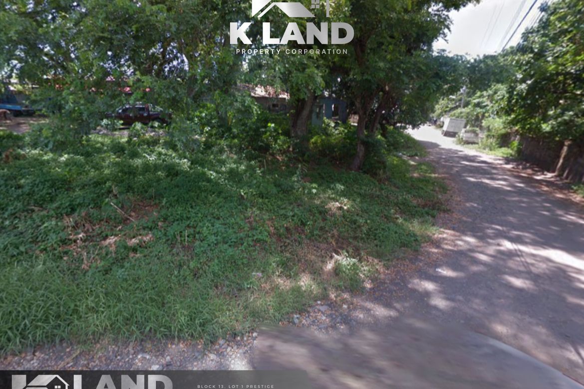 Land for Sale in Santo Niño, Davao City, Davao del Sur – photo 2
