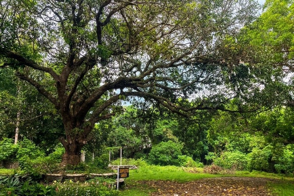 Land for Sale in Santo Niño, Ibaan, Batangas
