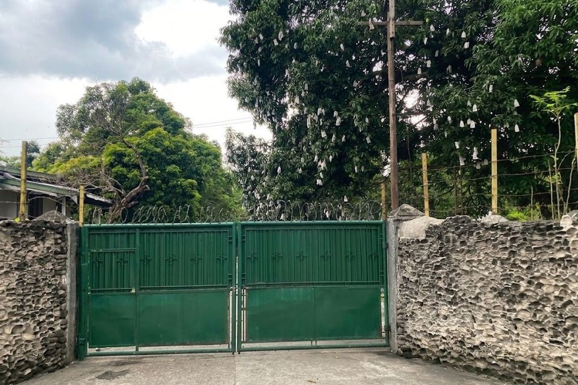 Land for Sale in Santo Niño, Ibaan, Batangas – photo 2