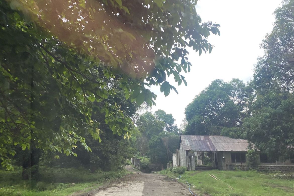 Land for Sale in Santo Niño, Ibaan, Batangas – photo 4