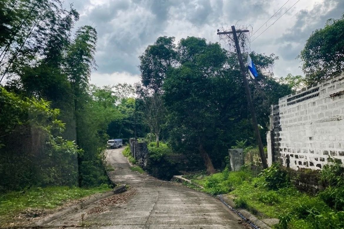 Land for Sale in Santo Niño, Ibaan, Batangas – photo 5