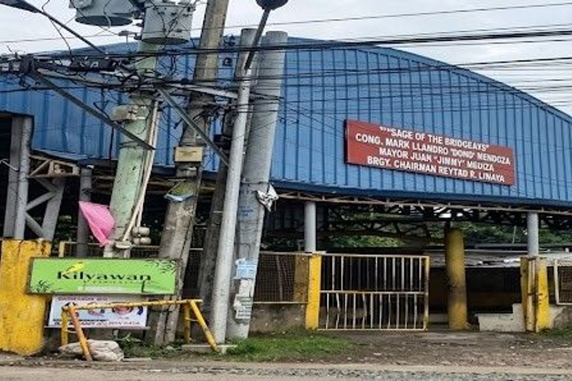 Land for Sale in Santo Niño, Ibaan, Batangas – photo 7
