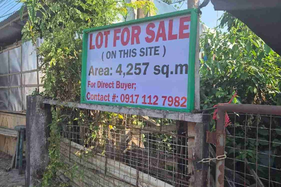 Land for Sale in Santo Niño, Isabel, Leyte