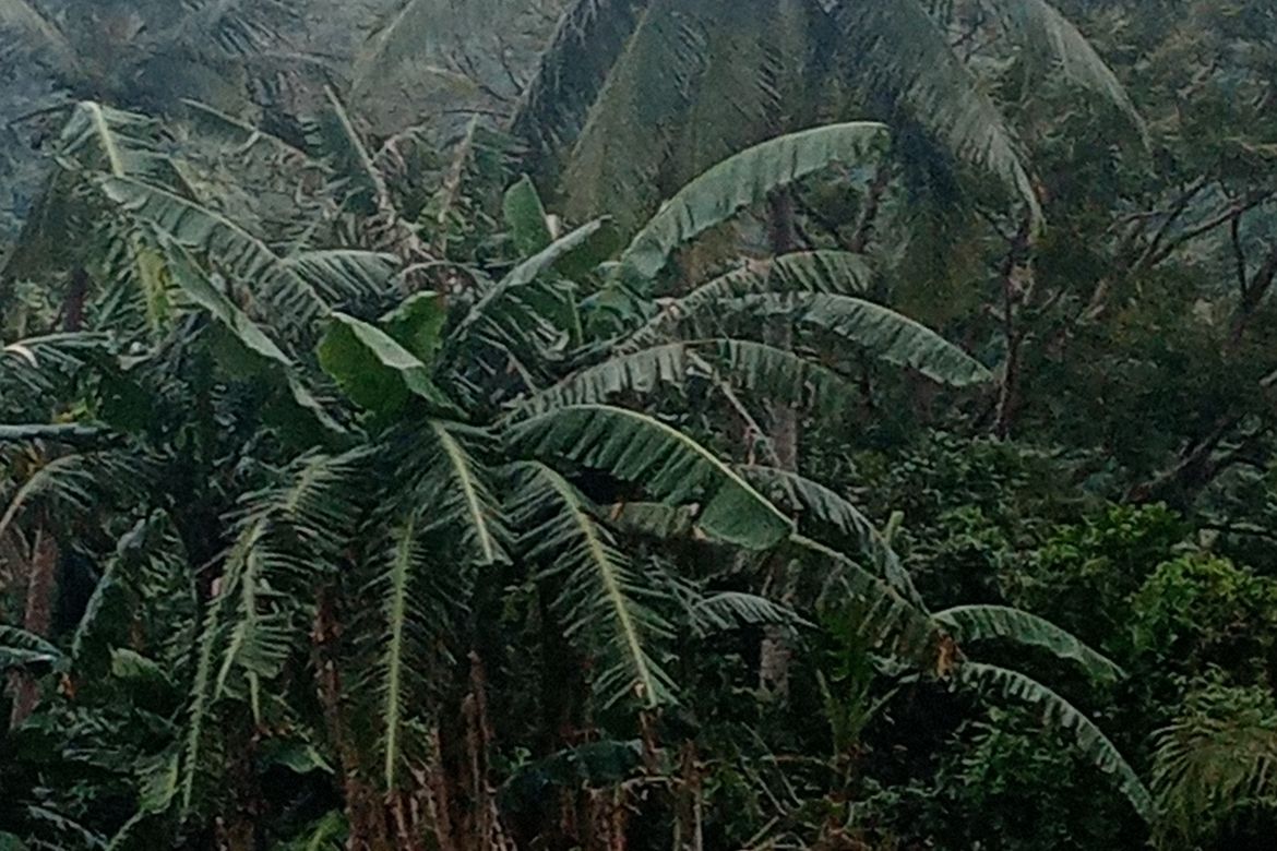 Land for Sale in Santo Niño, Lipa, Batangas