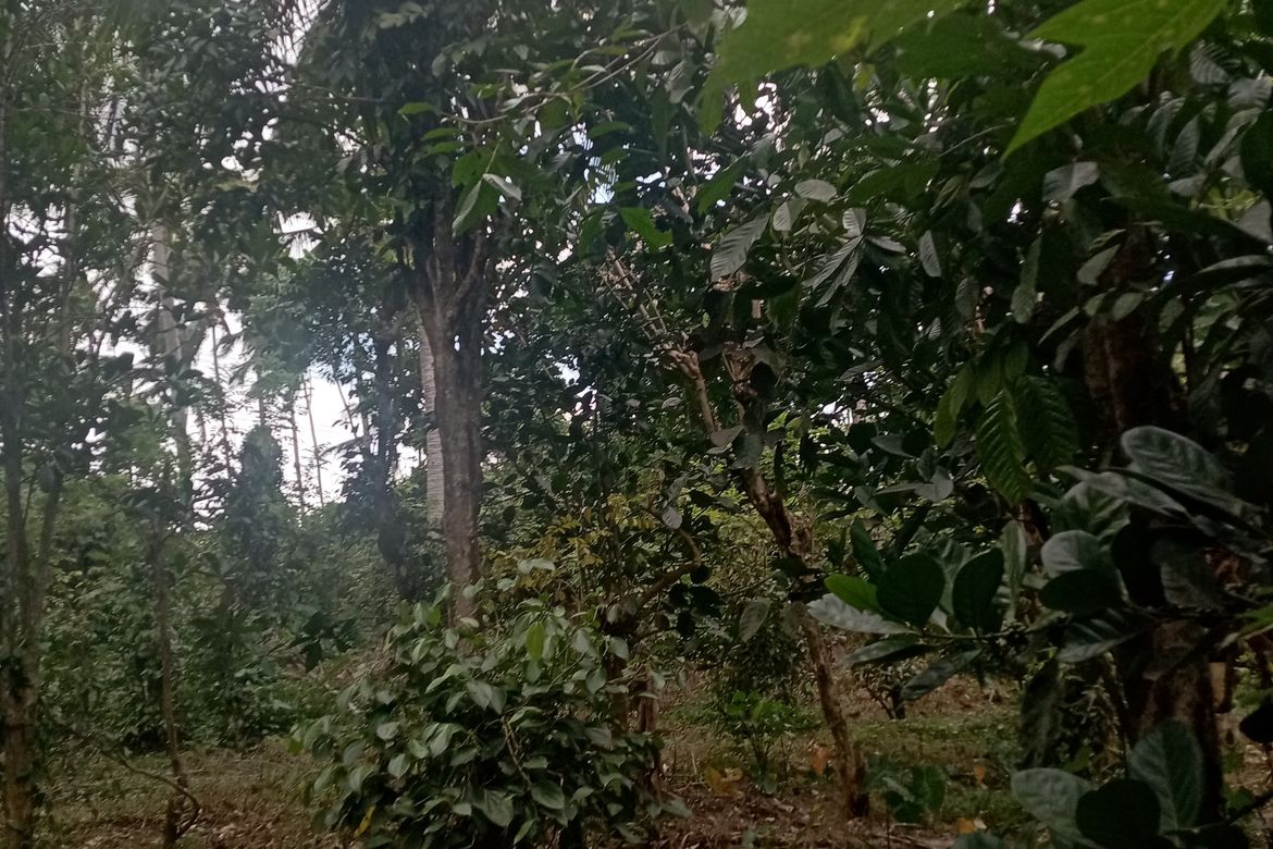 Land for Sale in Santo Niño, Lipa, Batangas – photo 6