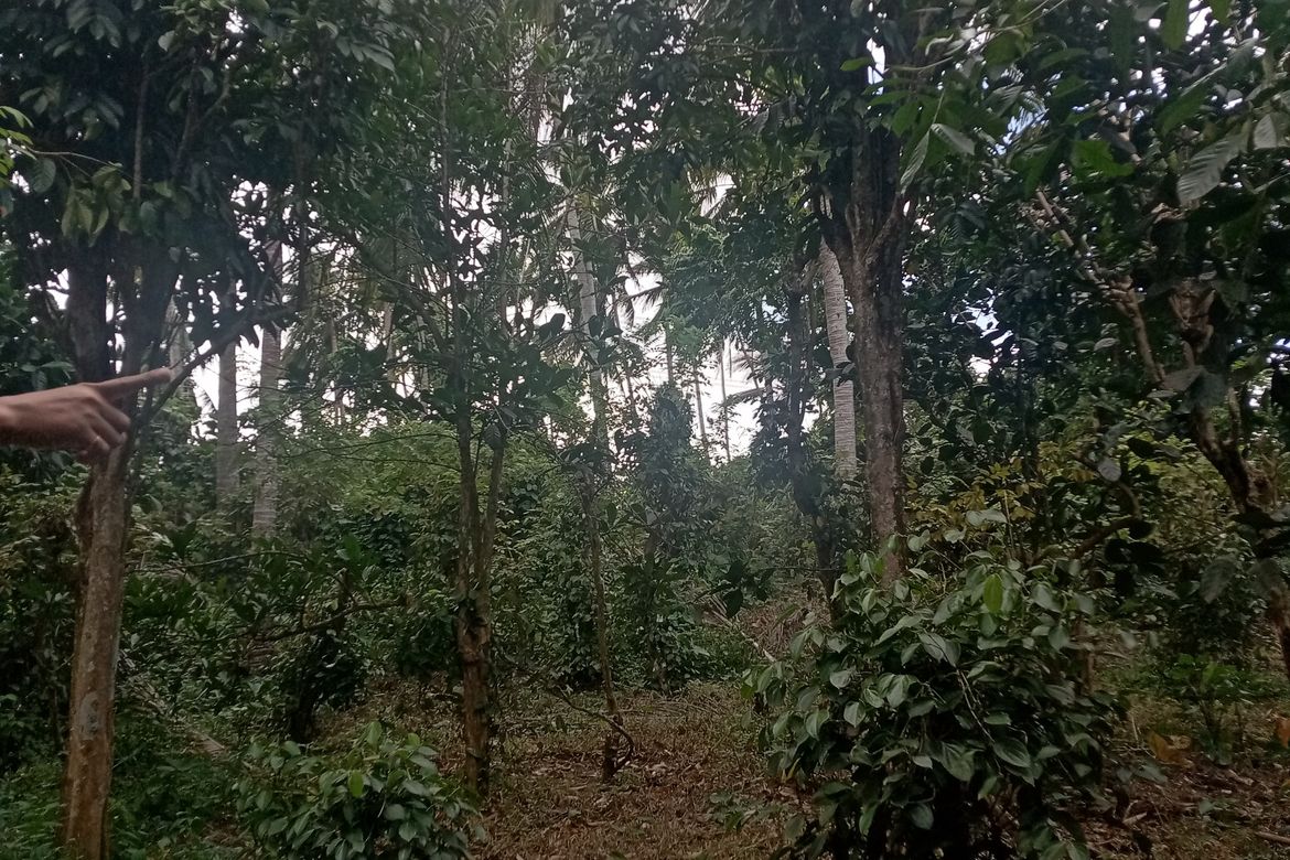 Land for Sale in Santo Niño, Lipa, Batangas – photo 8