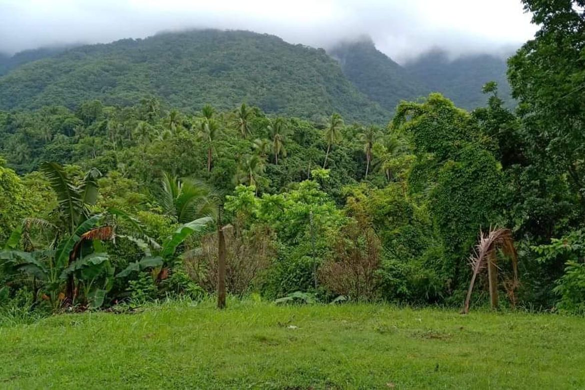 Land for Sale in Santo Niño, Lipa, Batangas – photo 4
