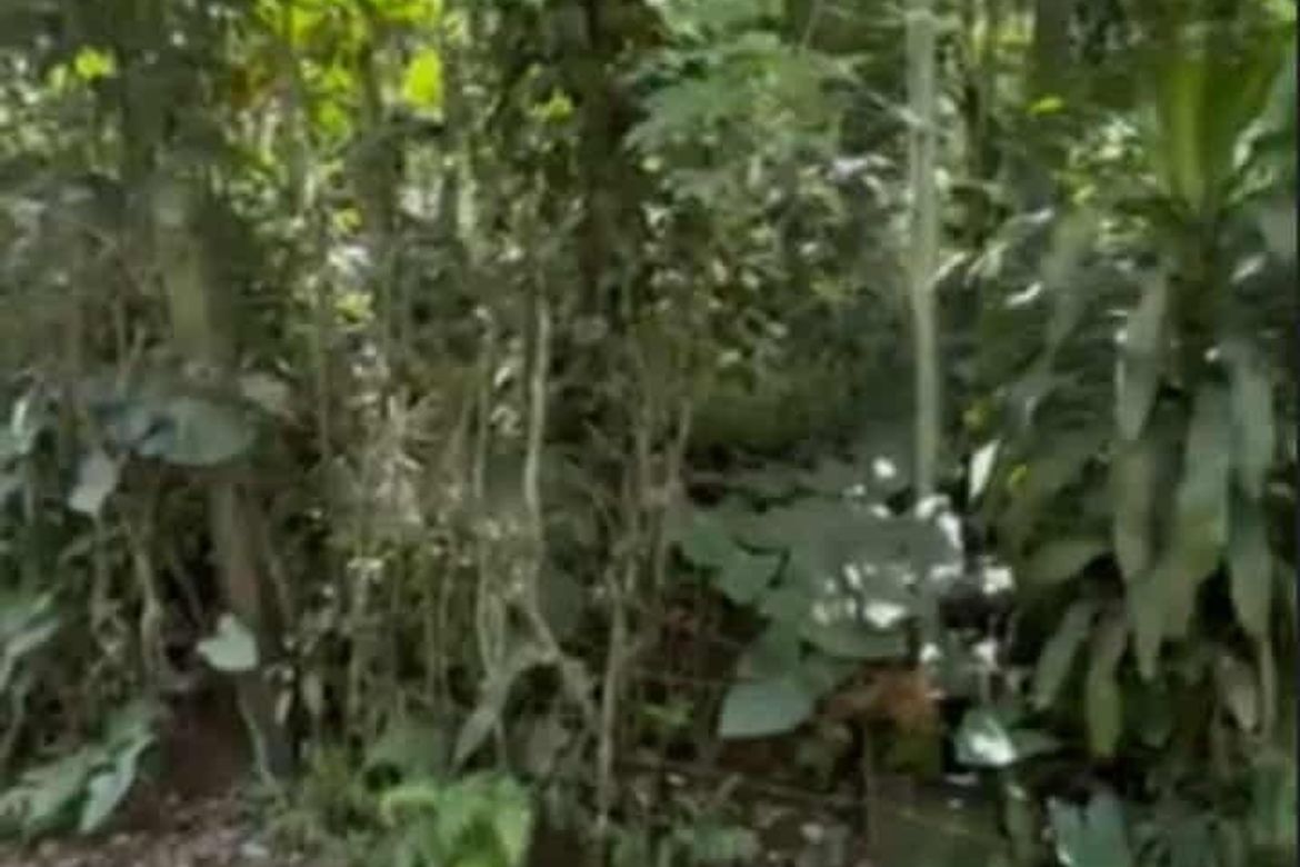 Land for Sale in Santo Niño, Lipa, Batangas
