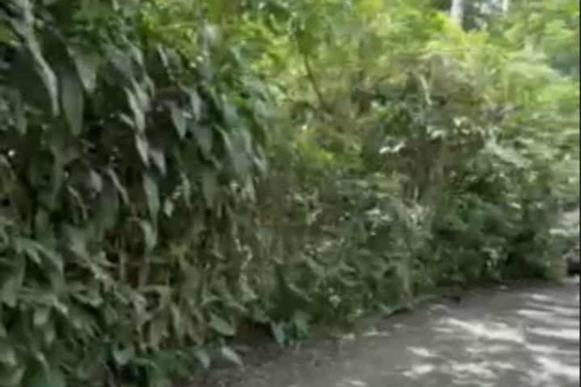 Land for Sale in Santo Niño, Lipa, Batangas – photo 2