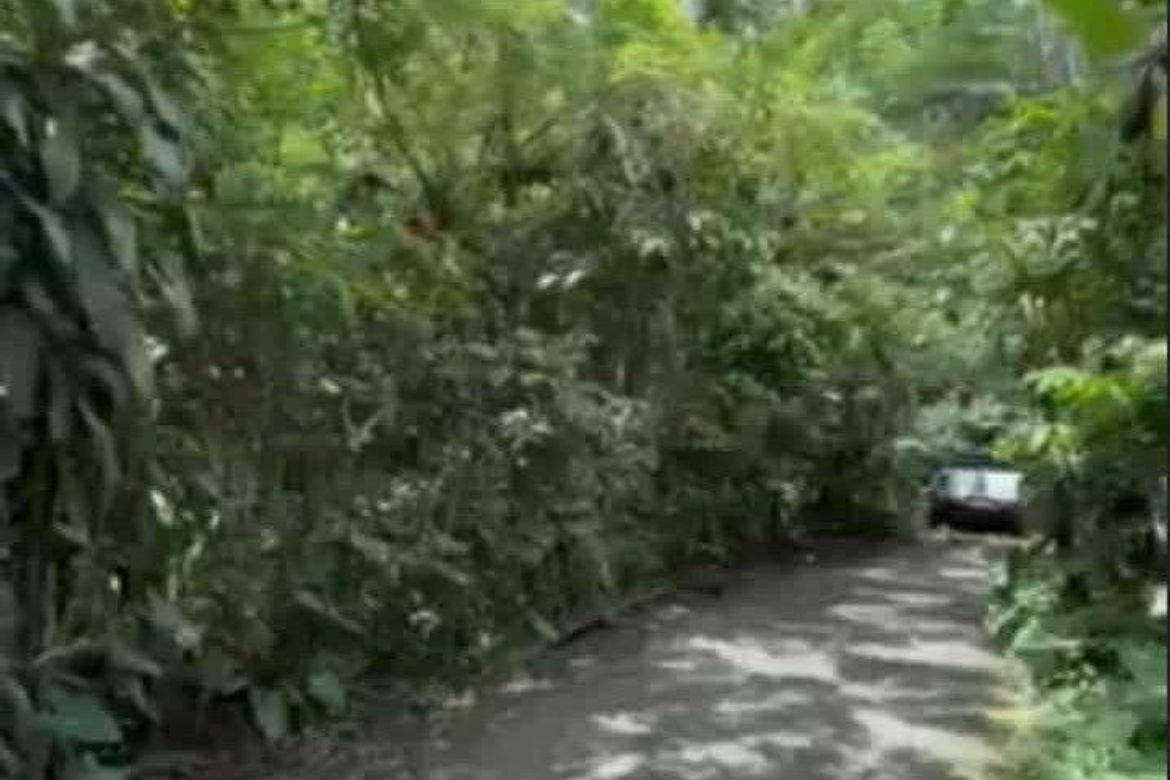 Land for Sale in Santo Niño, Lipa, Batangas – photo 3