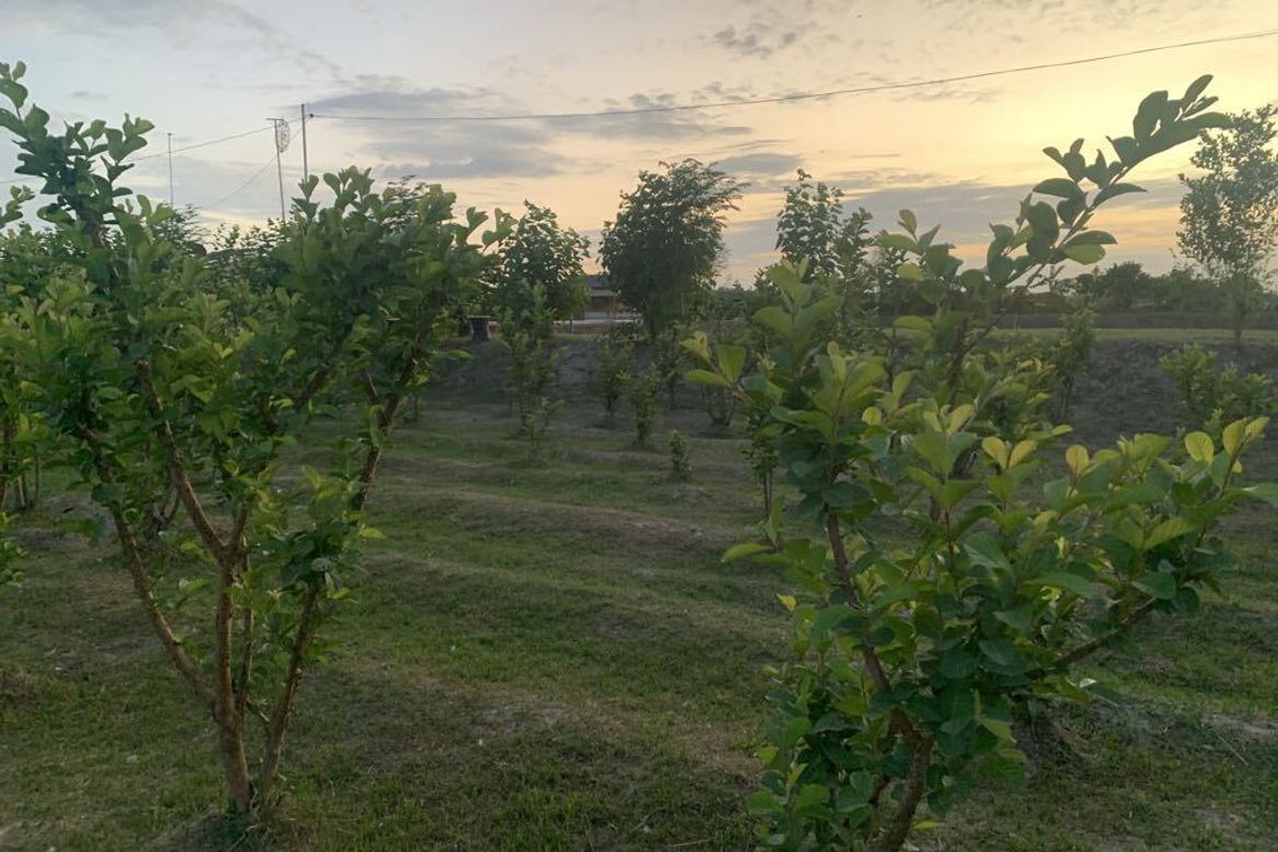 Land for Sale in Santo Niño, Magalang, Pampanga