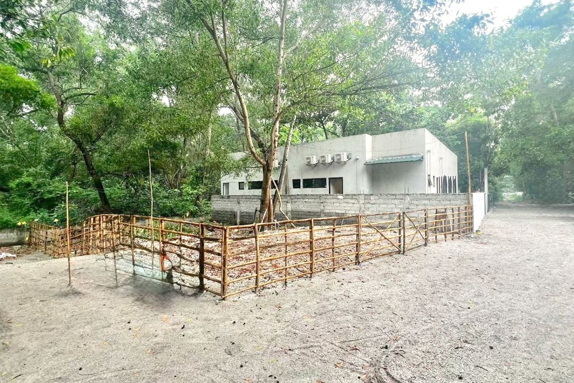 Land for Sale in Santo Niño, San Felipe, Zambales