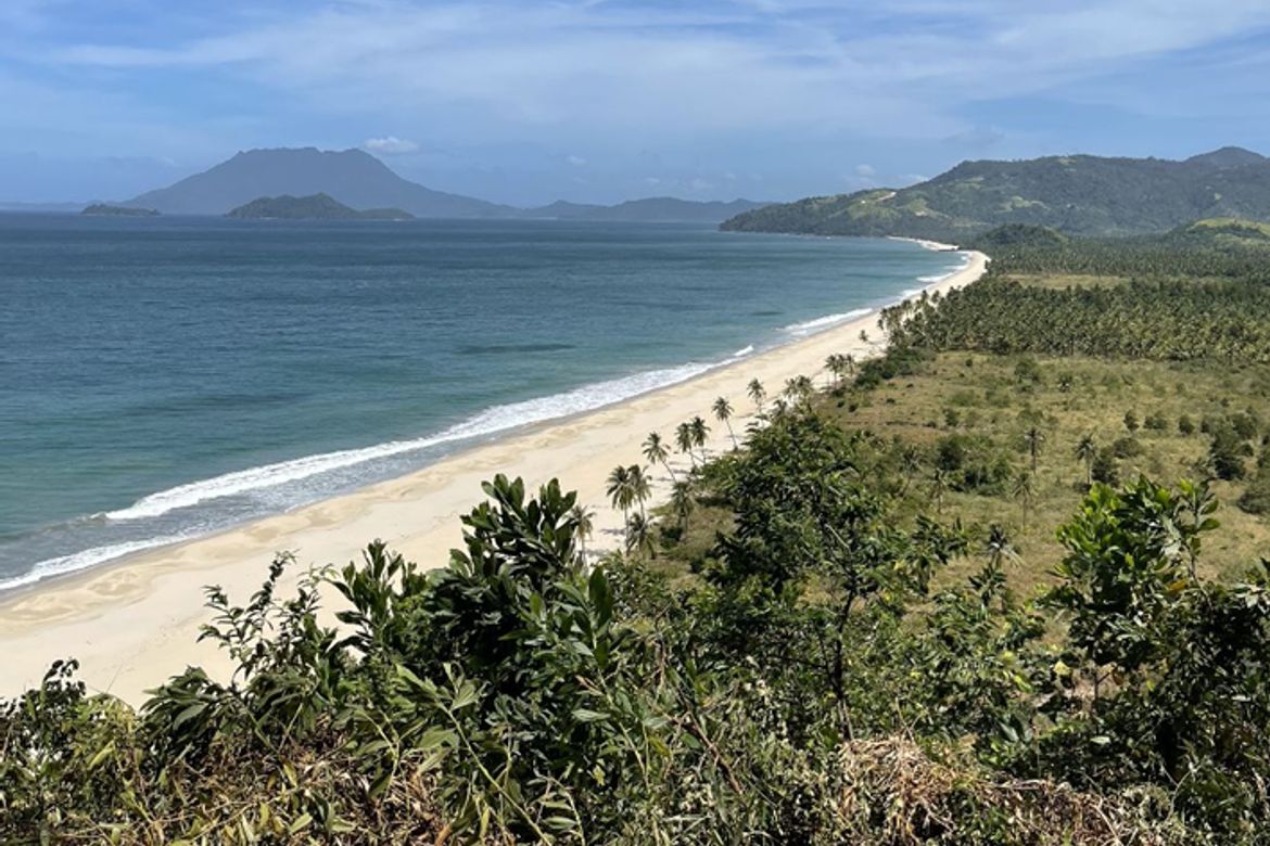 Land for Sale in Santo Niño, San Vicente, Palawan – photo 4