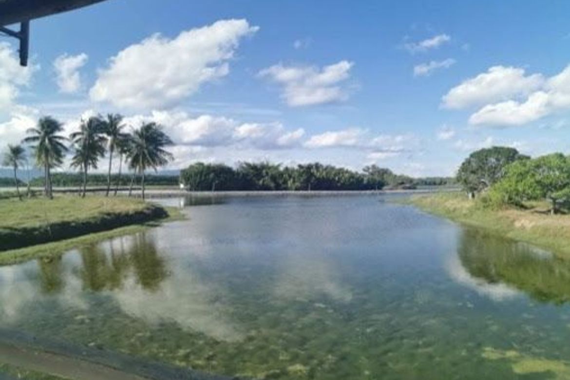 Land for Sale in Santo Niño, Tanjay, Negros Oriental