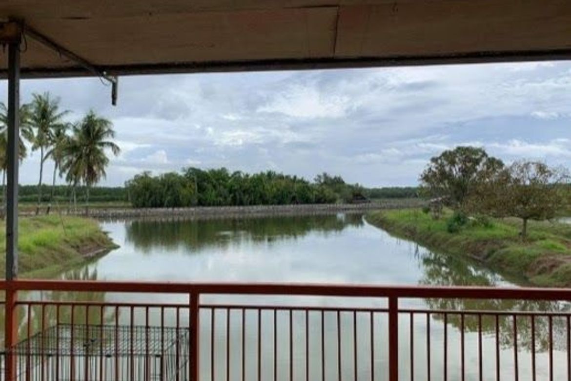 Land for Sale in Santo Niño, Tanjay, Negros Oriental – photo 2
