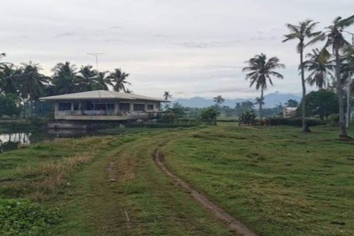 Land for Sale in Santo Niño, Tanjay, Negros Oriental – photo 3