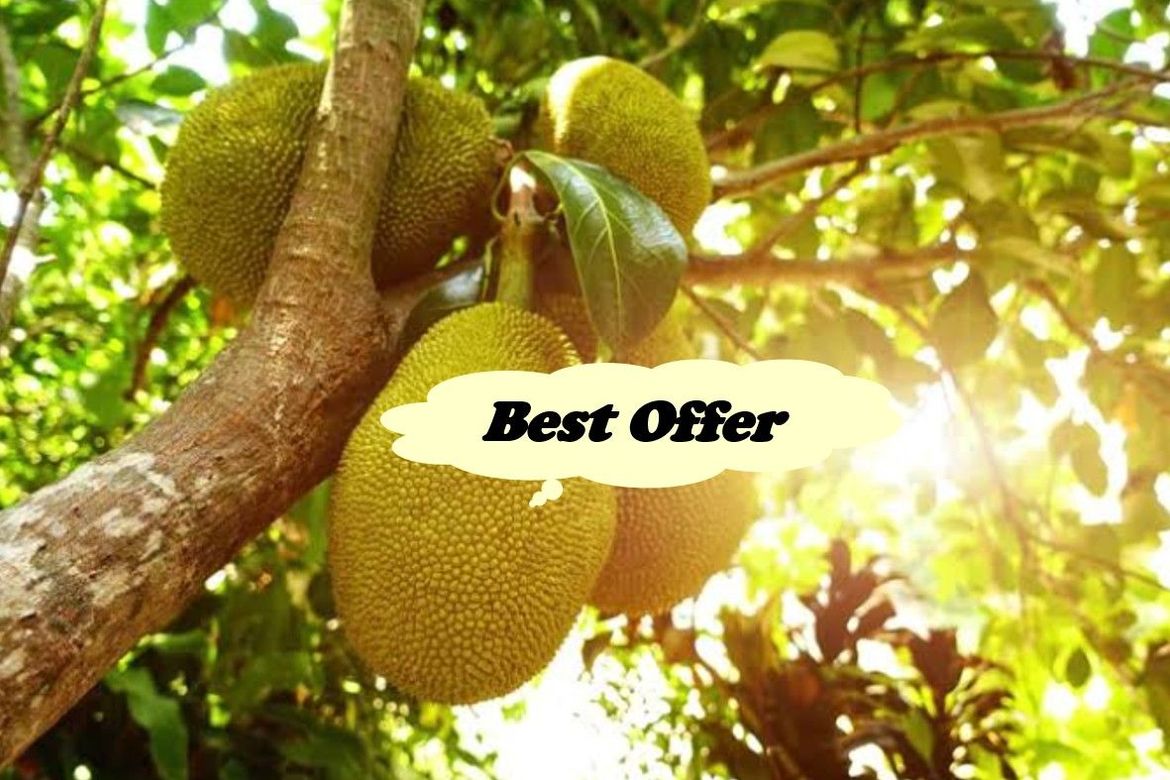 Land for Sale in Santo Niño, Taysan, Batangas
