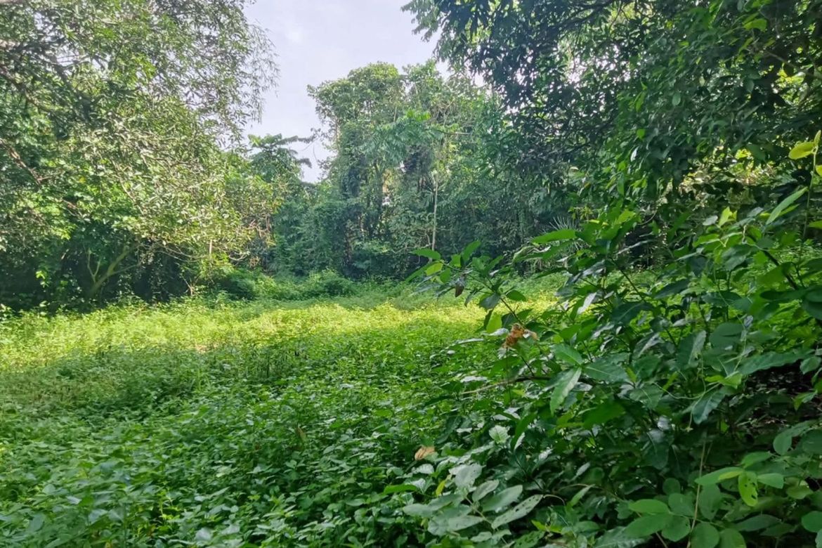 Land for Sale in Santo Niño, Taysan, Batangas – photo 6