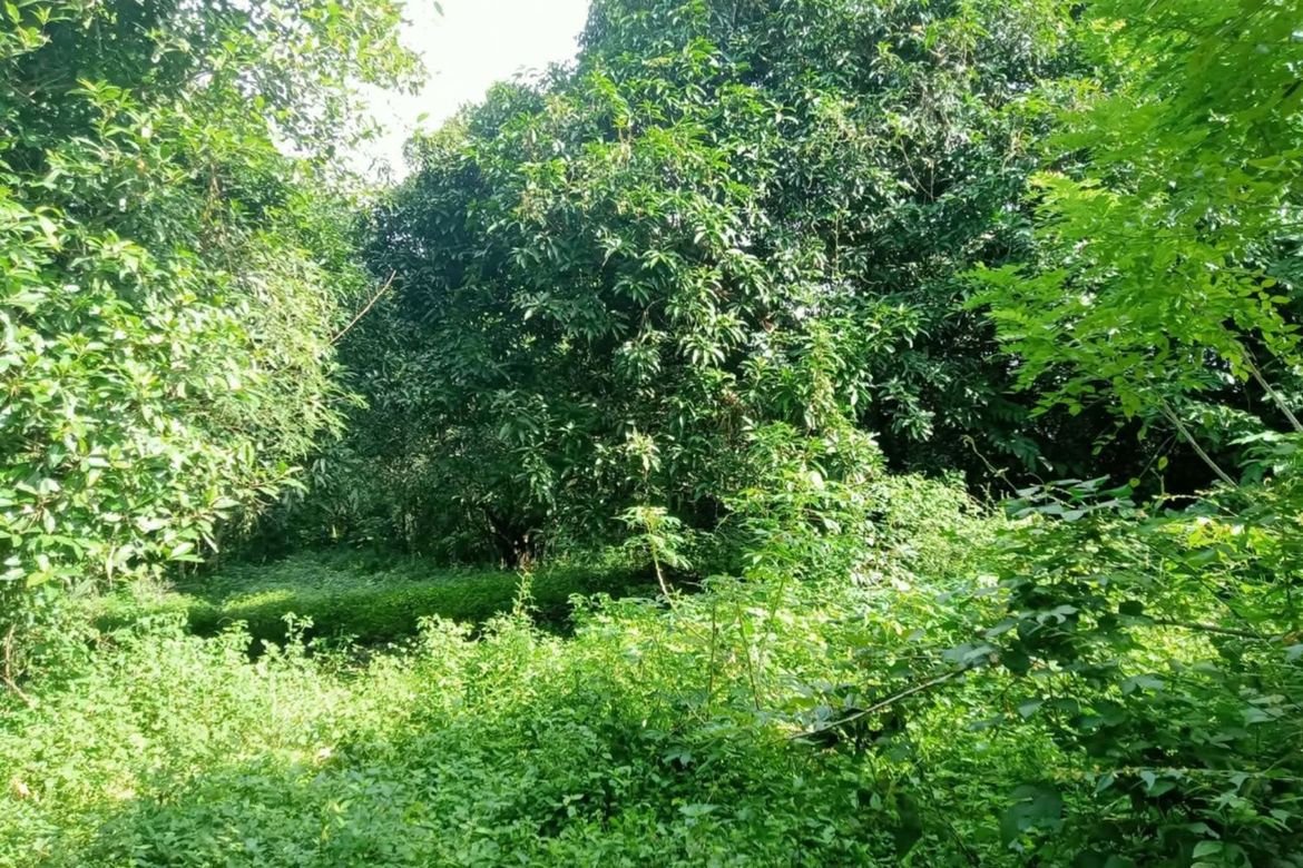 Land for Sale in Santo Niño, Taysan, Batangas – photo 7