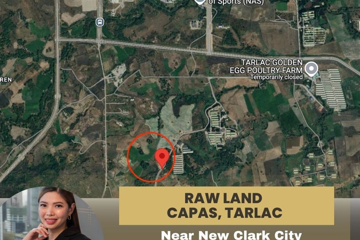 Land for Sale in Santo Rosario, Capas, Tarlac
