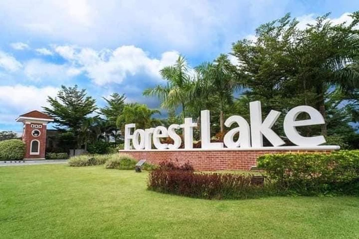 Land for Sale in Santo Rosario, Capas, Tarlac