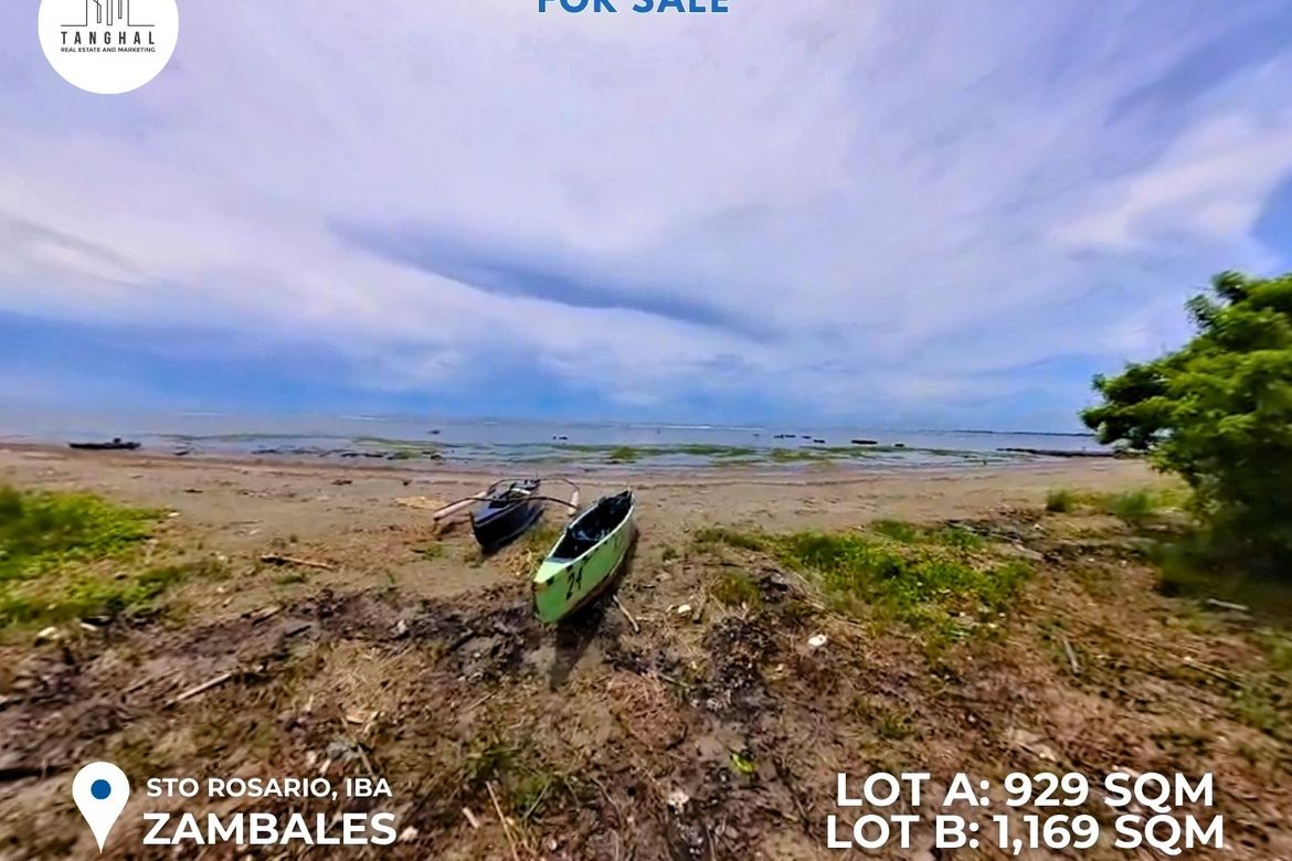 Land for Sale in Santo Rosario, Iba, Zambales – photo 4