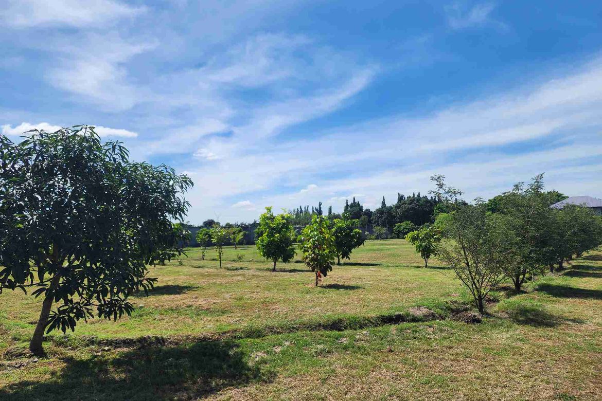Land for Sale in Santo Rosario, Magalang, Pampanga – photo 5