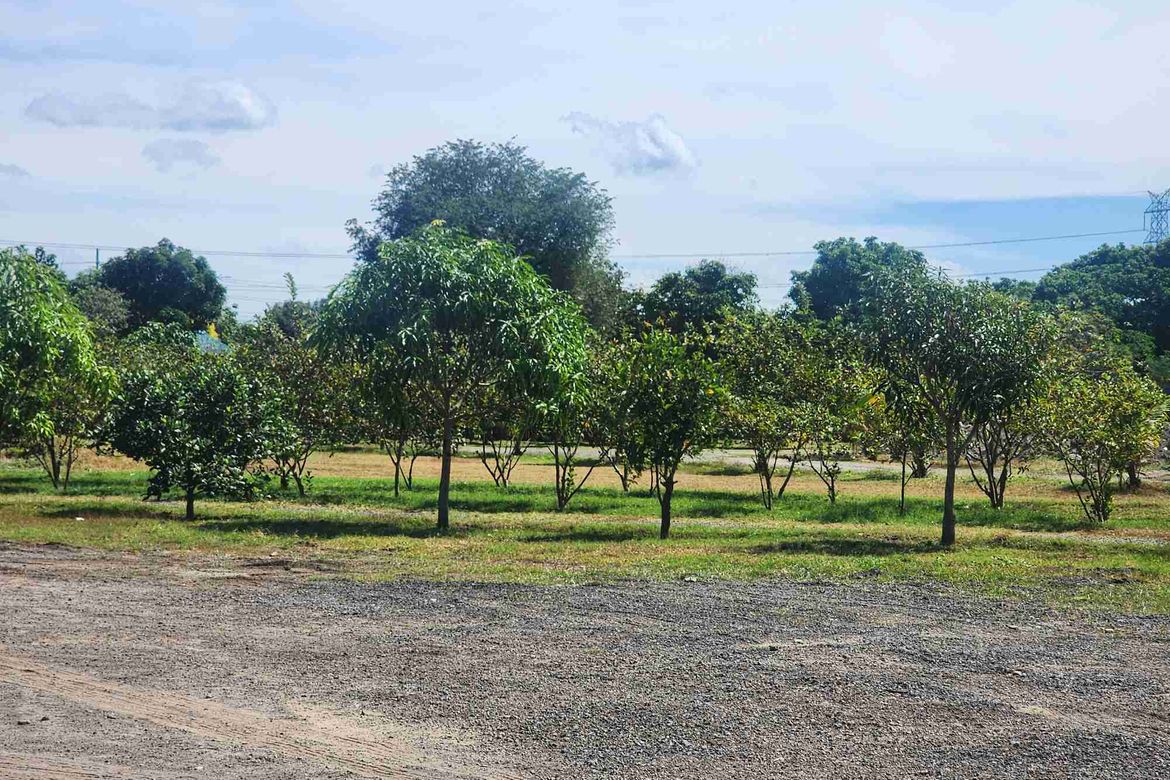 Land for Sale in Santo Rosario, Magalang, Pampanga – photo 6