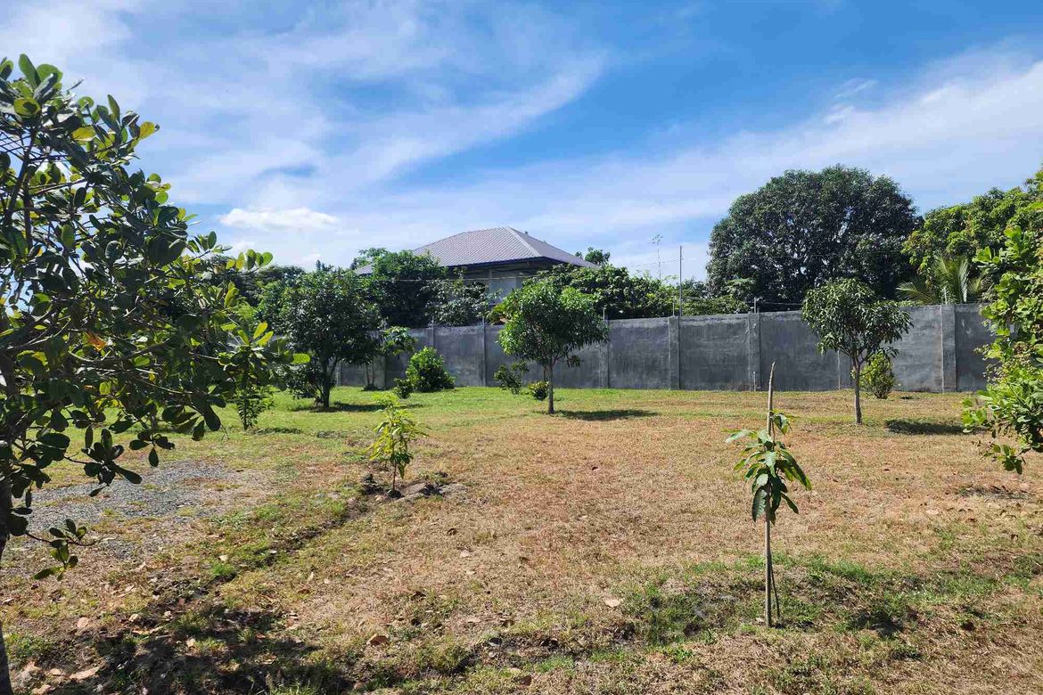 Land for Sale in Santo Rosario, Magalang, Pampanga – photo 7