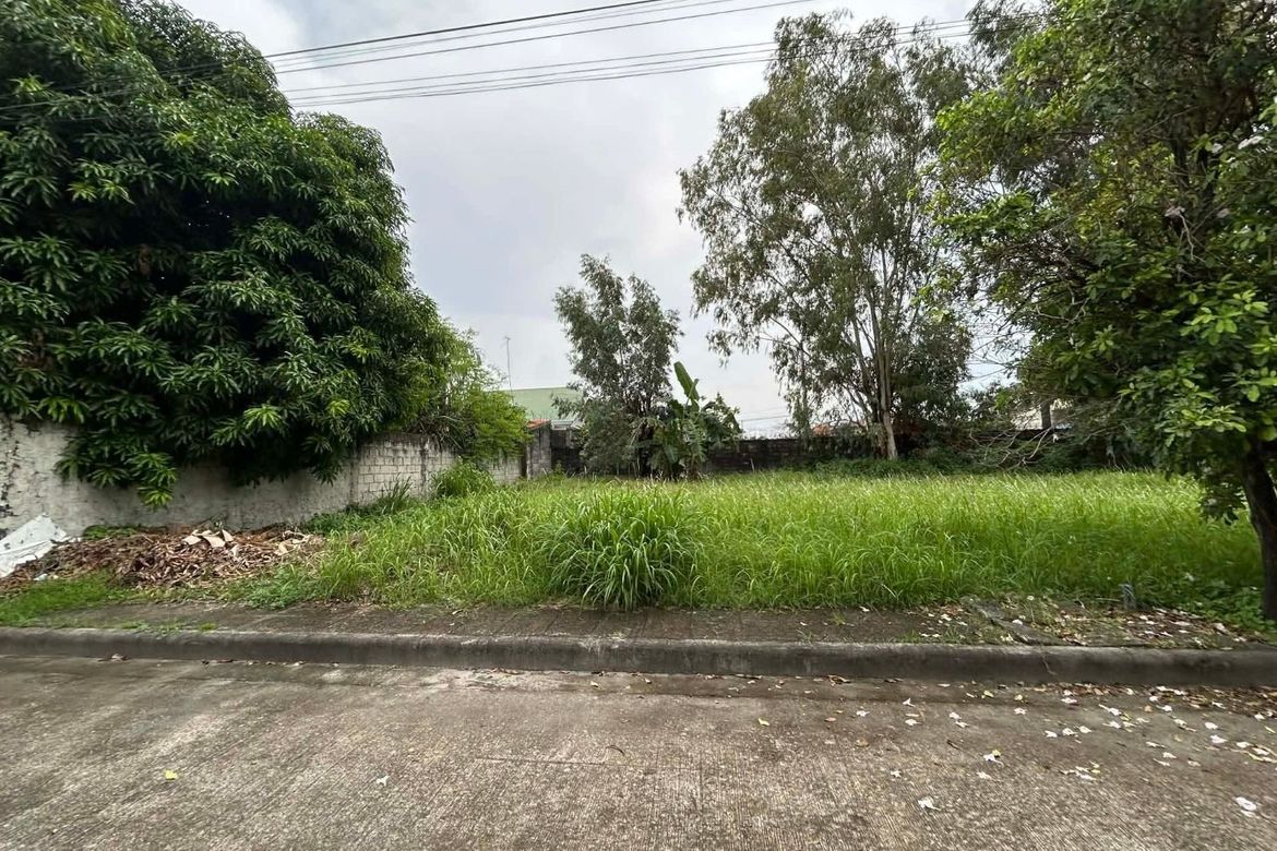 Land for Sale in Santo Rosario, San Fernando, Pampanga – photo 3