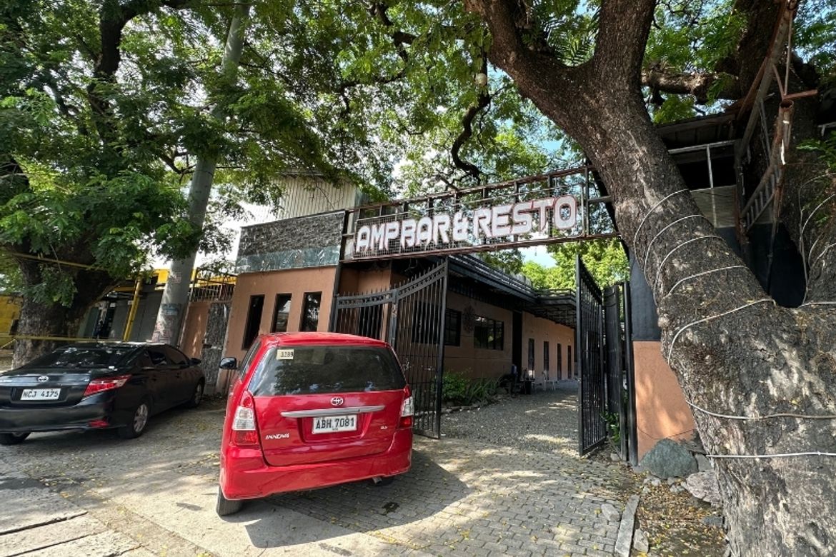 Land for Sale in Santo Rosario, San Fernando, Pampanga – photo 4