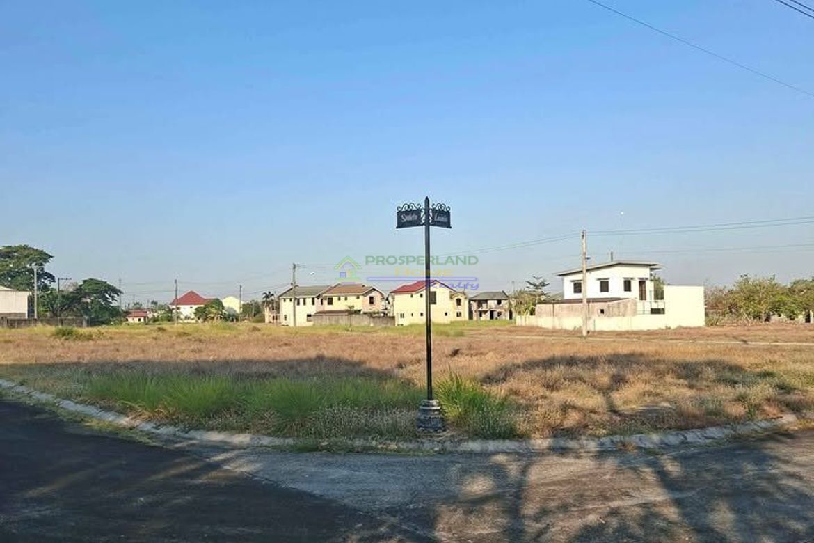 Land for Sale in Santo Rosario, San Fernando, Pampanga – photo 5