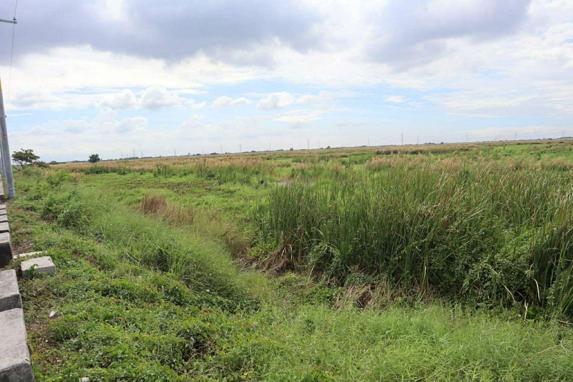 Land for Sale in Santo Rosario, San Fernando, Pampanga