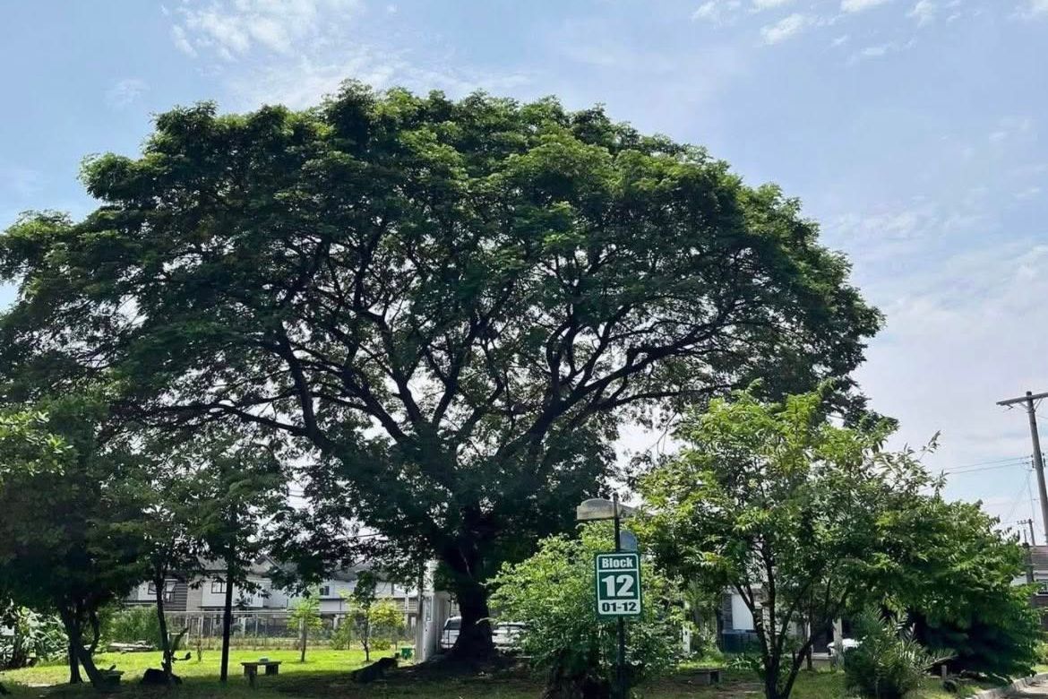 Land for Sale in Santo Rosario, San Fernando, Pampanga – photo 6