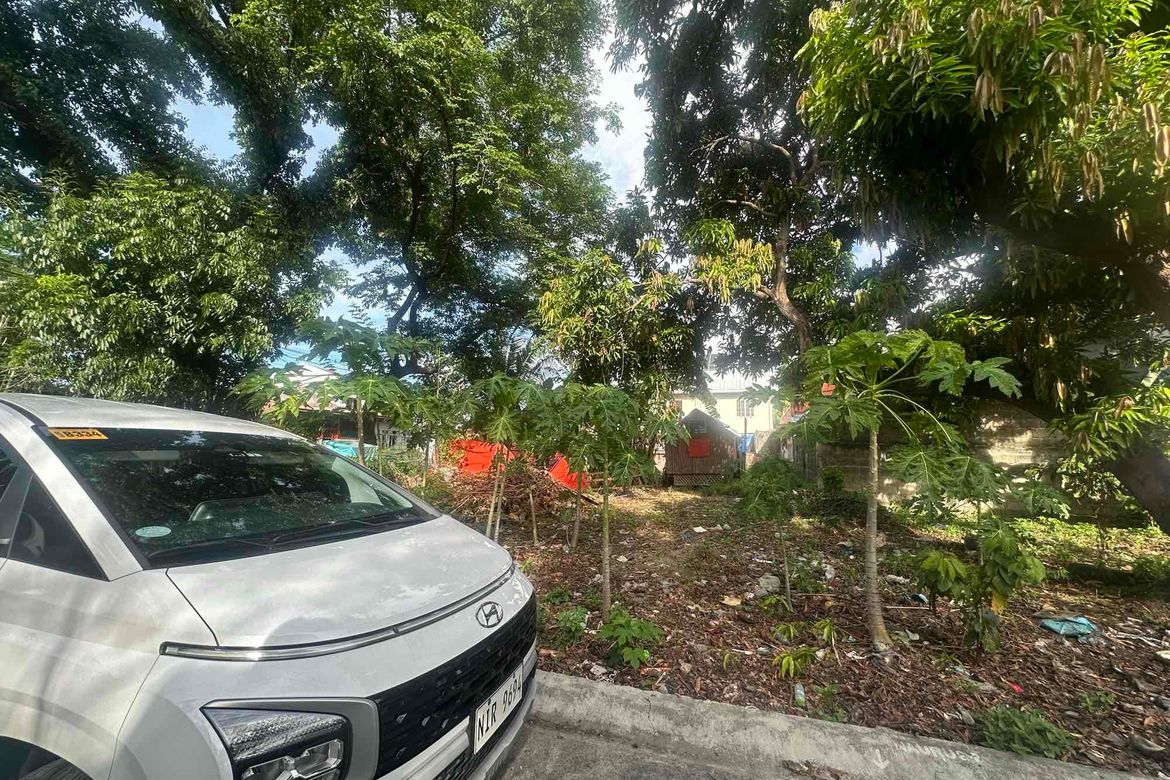 Land for Sale in Santo Tomas, Biñan, Laguna