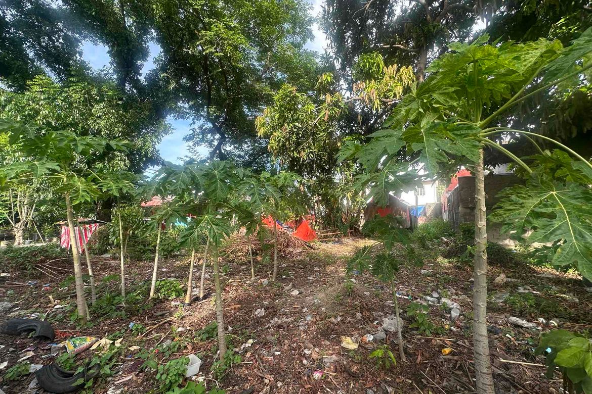 Land for Sale in Santo Tomas, Biñan, Laguna – photo 4