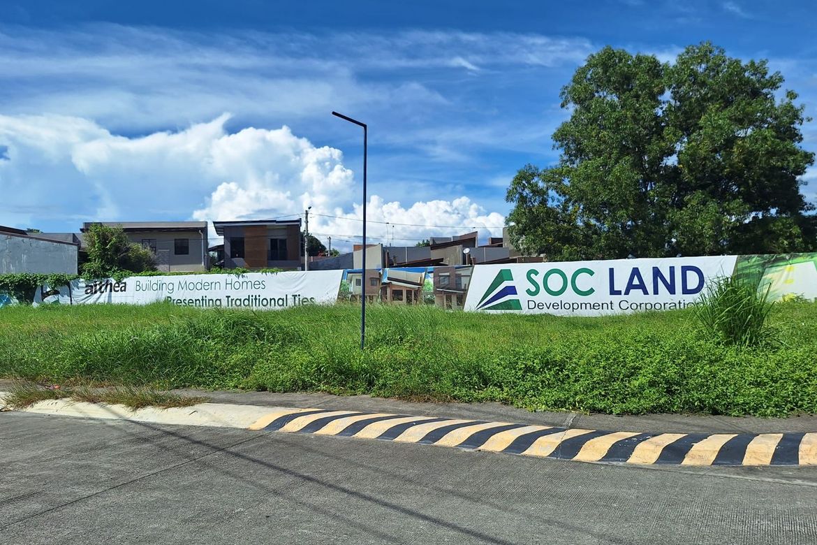 Land for Sale in Santo Tomas, Biñan, Laguna – photo 2