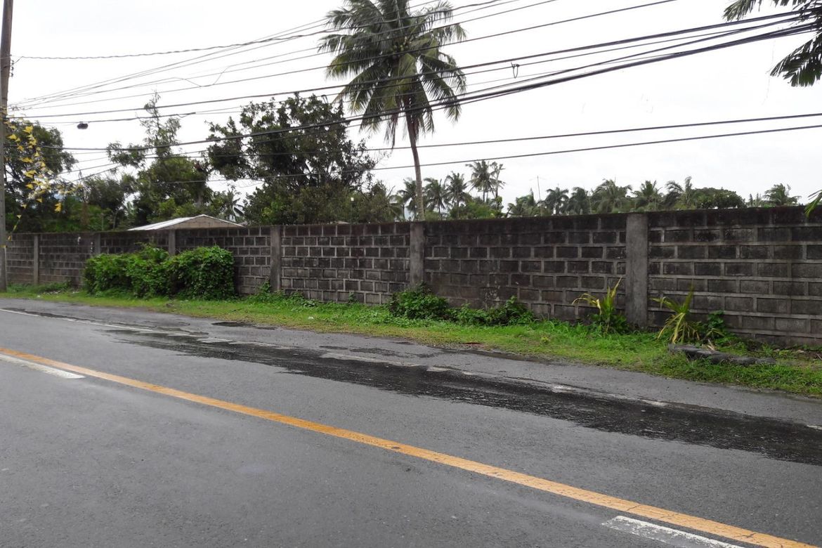 Land for Sale in Santo Tomas, Calauan, Laguna – photo 2