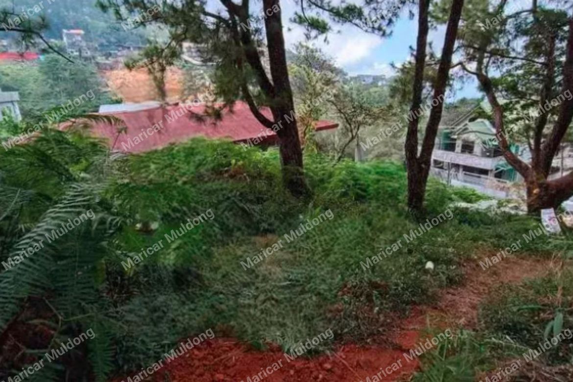 Land for Sale in Santo Tomas Proper, Baguio, Benguet