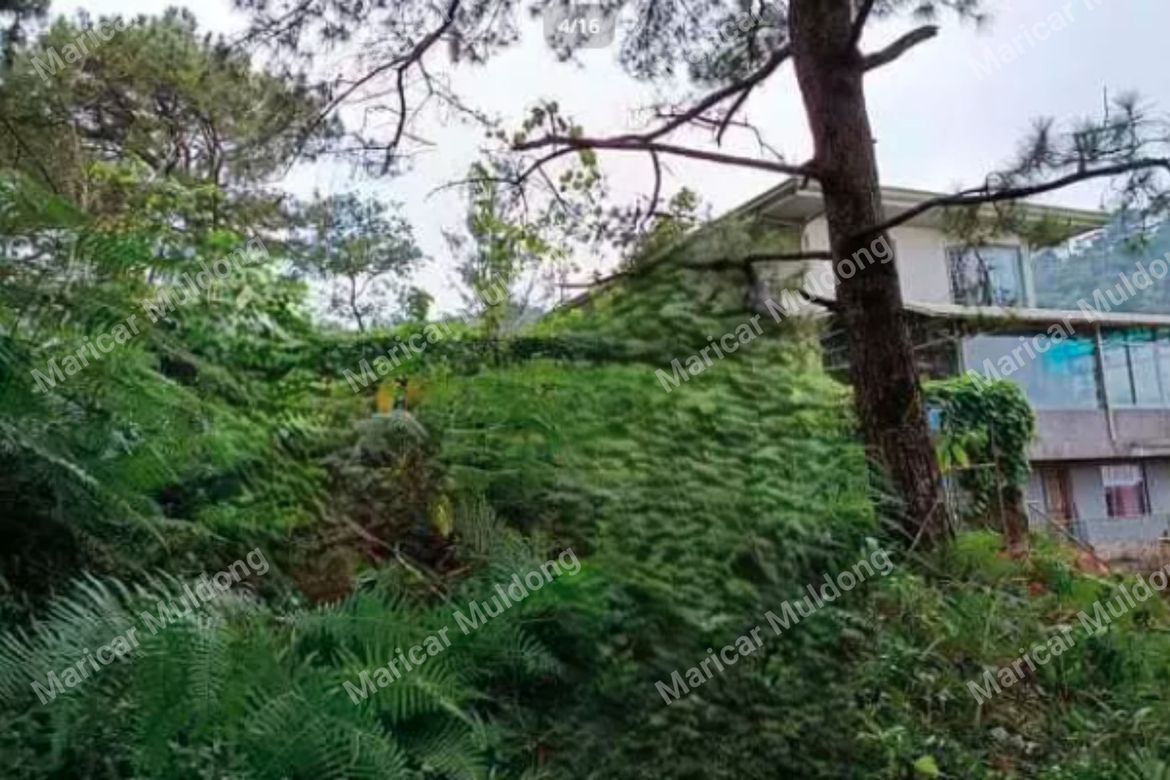 Land for Sale in Santo Tomas Proper, Baguio, Benguet – photo 2