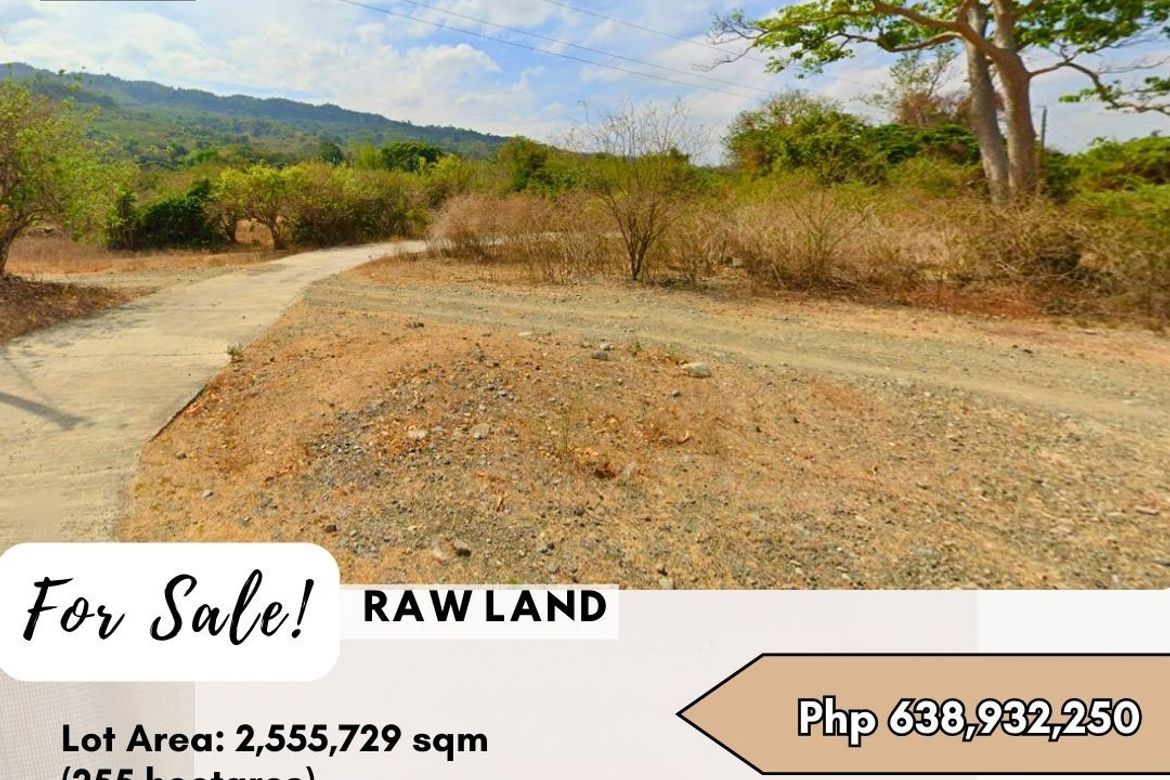 Land for Sale in Santo Tomas, Santo Domingo, Ilocos Sur