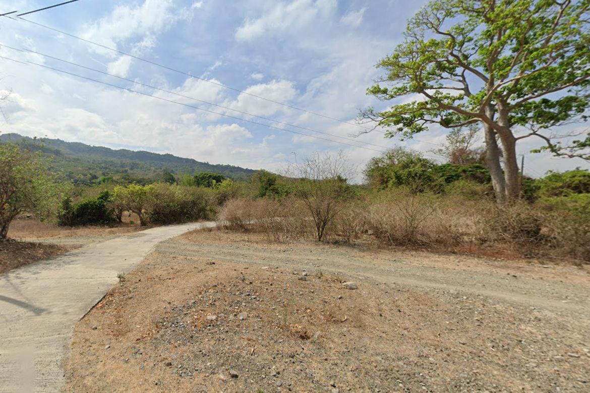 Land for Sale in Santo Tomas, Santo Domingo, Ilocos Sur – photo 2