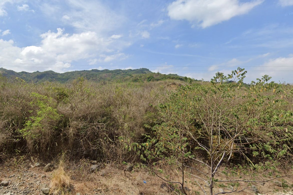 Land for Sale in Santo Tomas, Santo Domingo, Ilocos Sur – photo 3