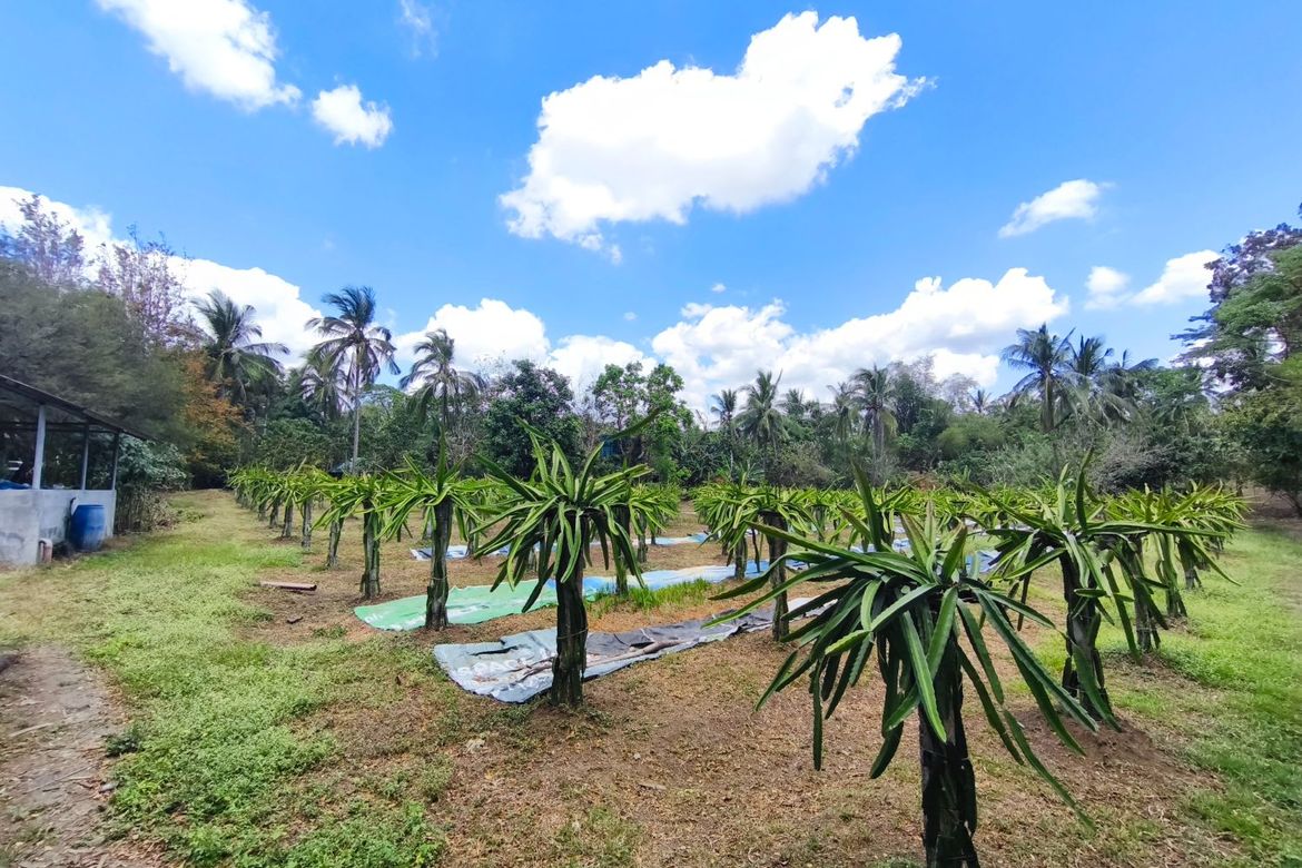 Land for Sale in Santo Toribio, Lipa, Batangas – photo 6